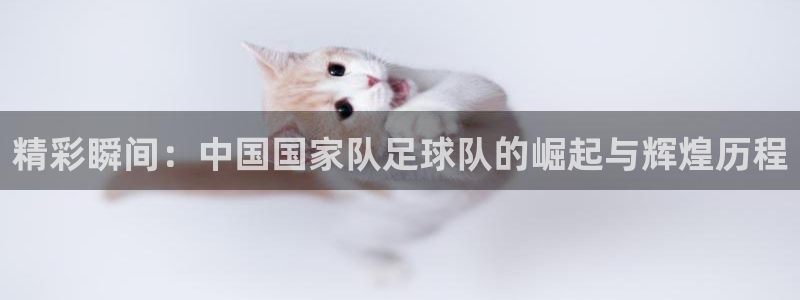 精彩瞬间：中国国家队足球队的崛起与辉煌历程