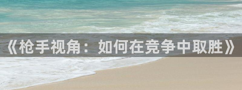 《枪手视角：如何在竞争中取胜》