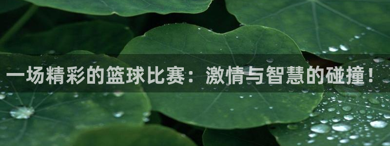 熊猫体育客服：一场精彩的篮球比赛：激情与智慧的碰撞！
