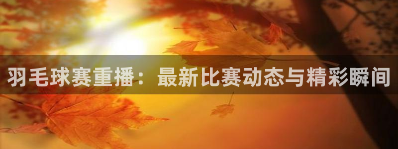 熊猫体育篮球官网：羽毛球赛重播：最新比赛动态与精彩瞬间