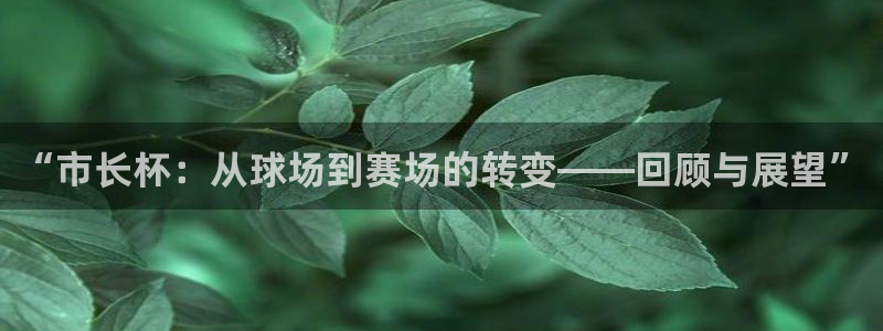 熊猫体育直播免费观看吗安全吗：“市长杯：从球场到赛场的转变—