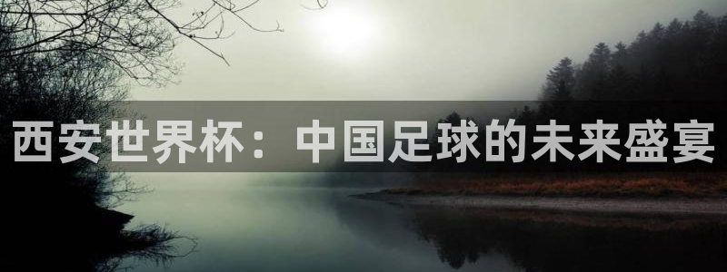 熊猫体育源头工厂在京东上卖鞋能赚钱吗：西安世界杯：中国足球的