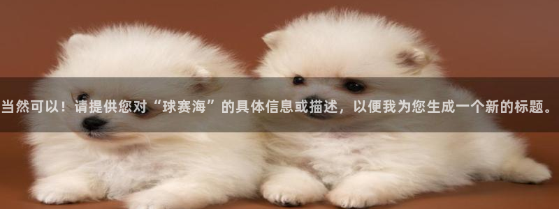 熊猫体育电子足球下载：当然可以！请提供您对“球赛海”的具体信